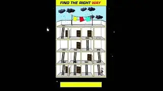 Can You Find The Correct Way ? | Test Your IQ | #shorts