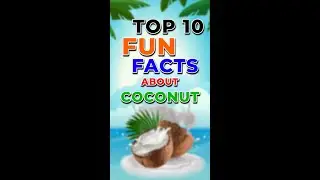 Prepare to be amazed: Top 10 Fun Facts About Coconut 🌴🥥  | World Wide 10 | #coconut #factsshorts
