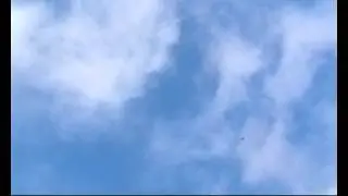 capture0000