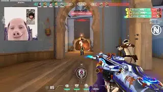 ENVY ion, 16 y/o Pro