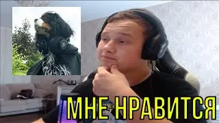РЕАКЦИЯ НА: ЮГ 404 - Мы с тобой собаки