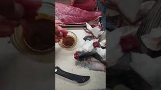 Сашими из тунца