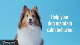Excessive Barking? Try Calming Care Probiotic Supplement.