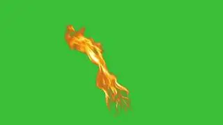 Fire Torch Green screen l Real fire Green screen
