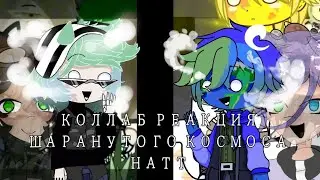 •~Коллаб реакция на тт~•