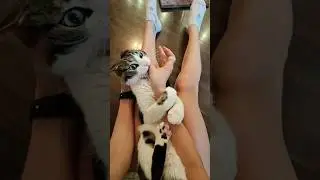 Кусь по французски🇫🇷👌 