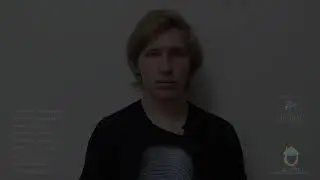 О паллиативе.