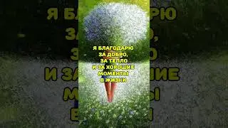 Аффирмации благодарности #аффирмации #благодарности Я благодарю моё тело