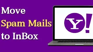 How to Move Spam Mails to Inbox in Yahoo