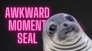 Awkward moment seal - meme compilation