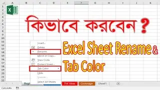 How to Rename Excel Sheet Name and Change Tab Color in Excel