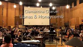 Clementine Charuel - Lianas & Honeycomb