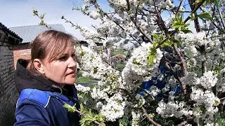 Многим были интересны Трудовые будни "БЛОГЕРА". Собрала червей к рыбалке НО ЧТО-ТО ПОШЛО НЕ ТАК