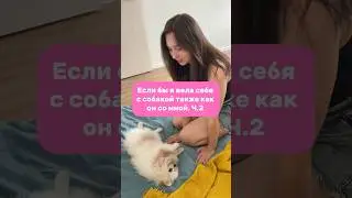 Поменялись местами. Ч. 2 spitzland тг 