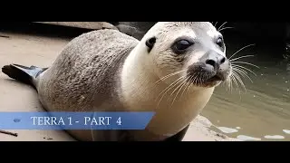 Terra 1 Part 04