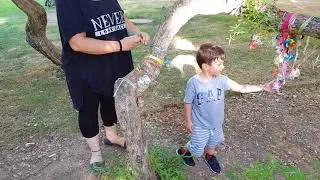 פרידה מהמוצץ
