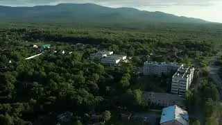 На берегу зелёного моря