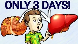 Clean Your Liver After Alcohol in Just 3 Days!