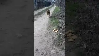 Без названия подписывайтесь на канал и ставте лайки.