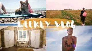Urlaub mit Hund, Spa-Time, Stonehenge & Strandtag in Brighton - WEEKLY VLOG #31