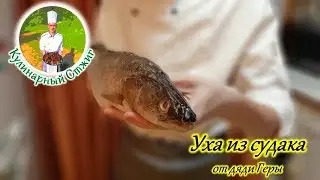 Уха из судака от дяди Геры (выпуск 3)