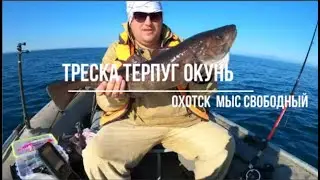 Сахалинская рыбалка Охотское море