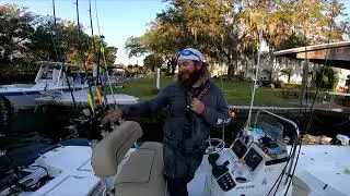 Seagrass Makes A Incredible Comeback In Florida