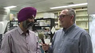 Wheat School: Using DNA/genome sequencing to advance plant breeding