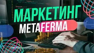 Маркетинговая стратегия проекта Meta Ferma
