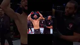 ответил за слова 🐺