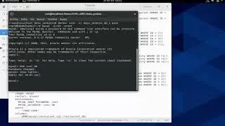 Crear un Servidor de MySQL en Docker.