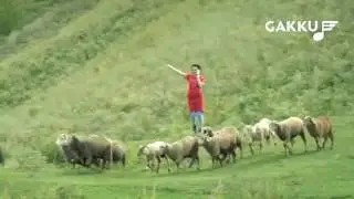 Скачать клип ТОРЕГАЛИ ТОРЕАЛИ   ЕРКЕ ЕСМАХАН АЛЛО Скачать клипы бесплатно