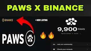 PAWS X BINANCE | Paws Airdrop listing on Binance | Itzz BinTo