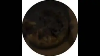 Кореш идёт и кушает пиццу 🍕и потом она упала😂