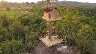Create Your Own Retreat: How to Build a 16m Unique Tree House in the Jungle with Ancient Skills! 🌳🏡