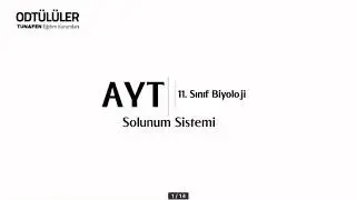 TUNAFEN Biyoloji - Solunum Sistemi 1