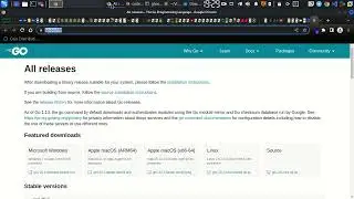 go installation for linux(NITDA STUDENTS)