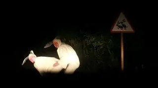 Витя жжёт