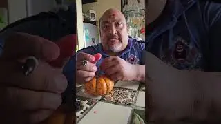 Toribio te enseña a celebrar Halloween🎃 #halloween #toribio #pakitoquetzalcoatl #humor #comedia