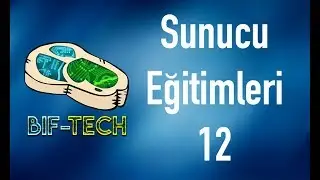 Sunucu Eğitimleri | Bölüm 12 | Sunucuyu DNS ile Alan Adına Bağlamak