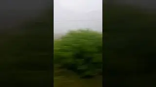 #music туман