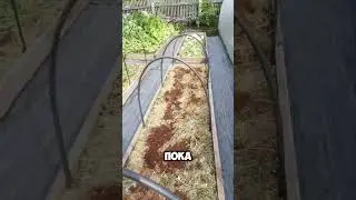 Стройка моего участочка🌿Часть 2