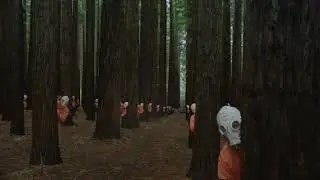 TREES | Short Film Trailer (Coming October 1st)