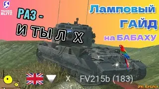ЛАМПОВЫЙ ГАЙД НА FV215b (183) 🔥 От RW_Rabbit