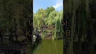 Синдром раздраженного кишечника #решение#shortsvideo #shorts_ #siberianwellness #shortsyoutube