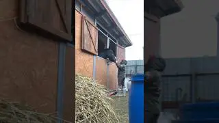 Часть 1 | Октябрьский день с лошадками🐴🌧️ tg: LuOx21