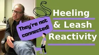Heeling and Leash Reactivity - They’re Not Connected - Solid K9 Training (2020)