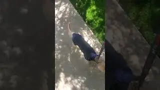 Dogs don't care about the eclipse!