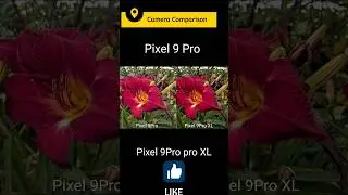 Google pixel 9 Pro vs Google pixel 9 Pro XL camera test competition