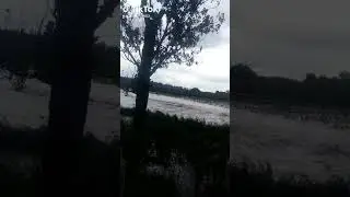 запорожская область дожди.